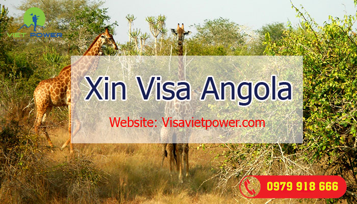 visa angola